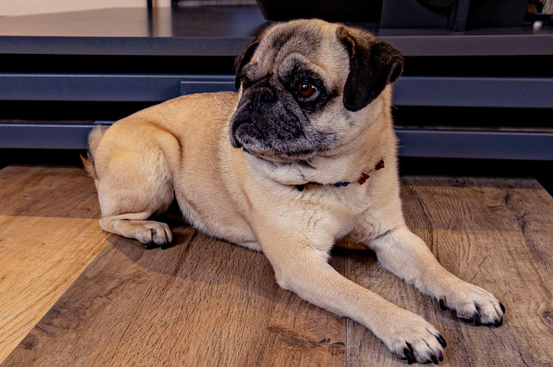 DAS BODENSTUDIO REGENSBURG