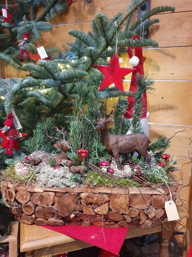 Dicks Georg Floristik