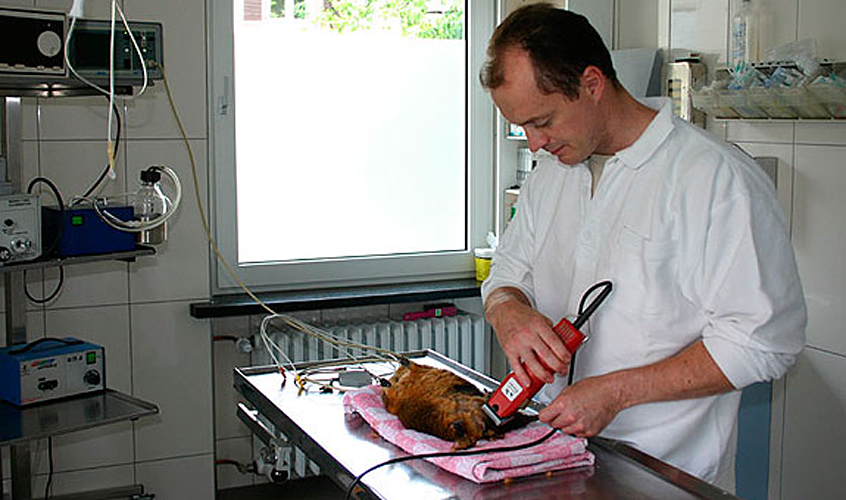 Dr. Daniel Mertens; Tierarztpraxis am Prinzenpark