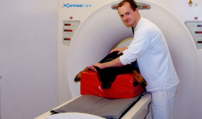 Dr. Daniel Mertens; Tierarztpraxis am Prinzenpark