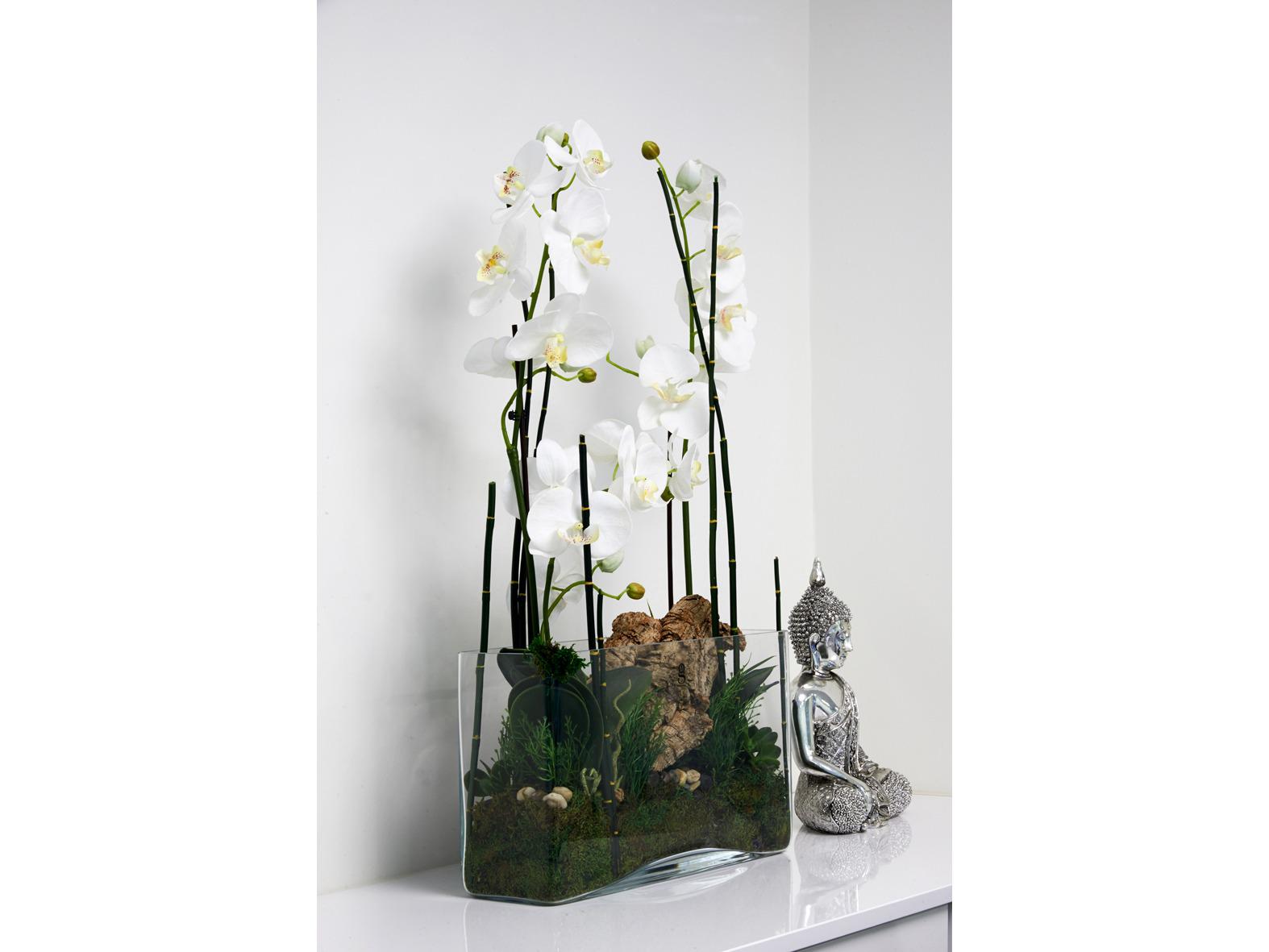 Dr. med.dent. Jak Hayim MSc Zahnarzt