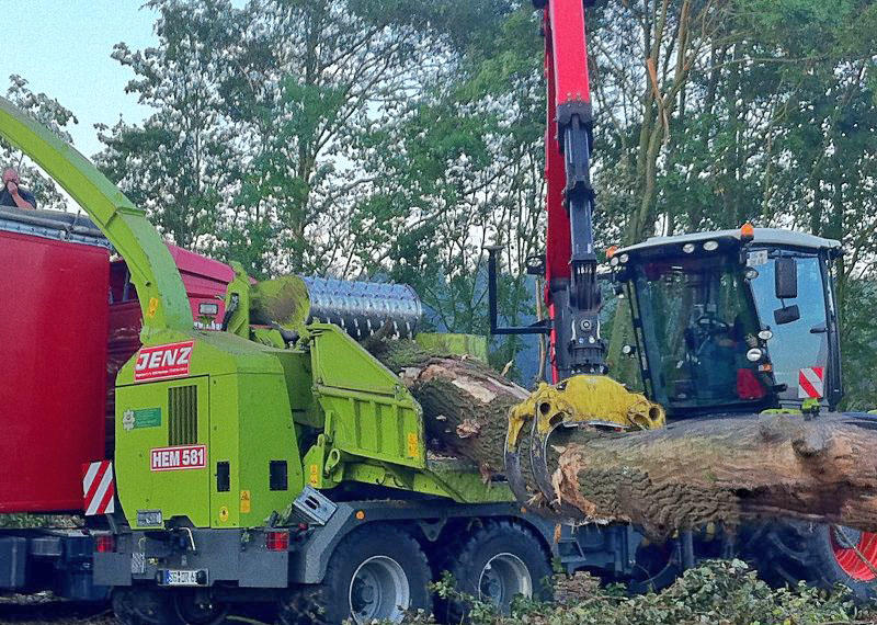 Duwenhorst René Garten-Landschaftsbau-Tiefbau