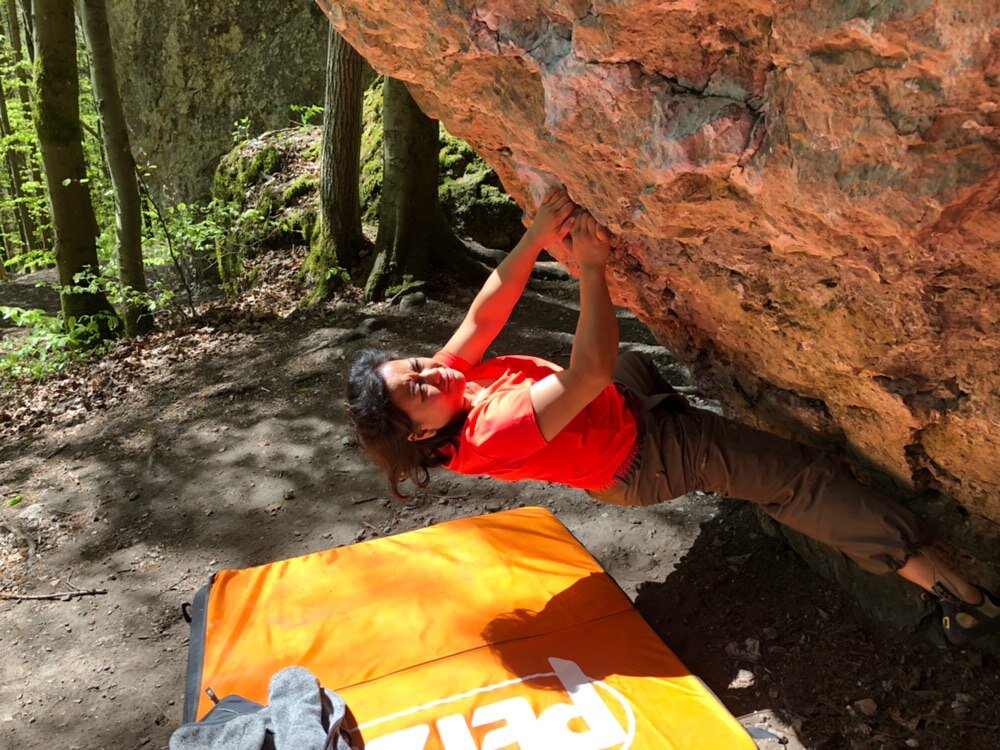 FelsFit – Premium Kletter- und Fitnessschule