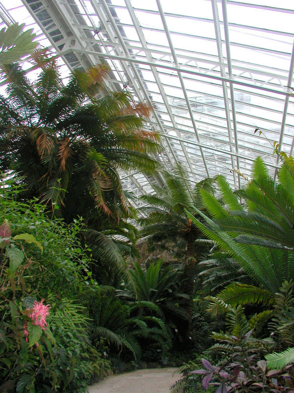 Fischer Leonhard Glaserei