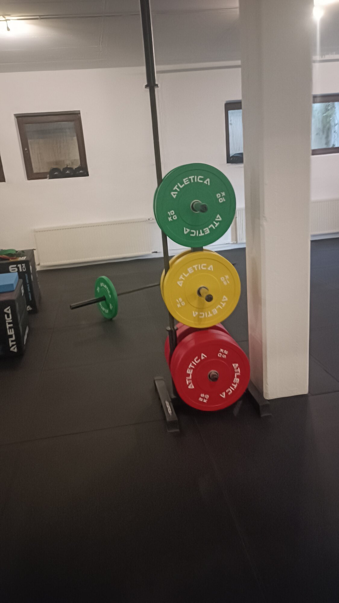 AP Fitness