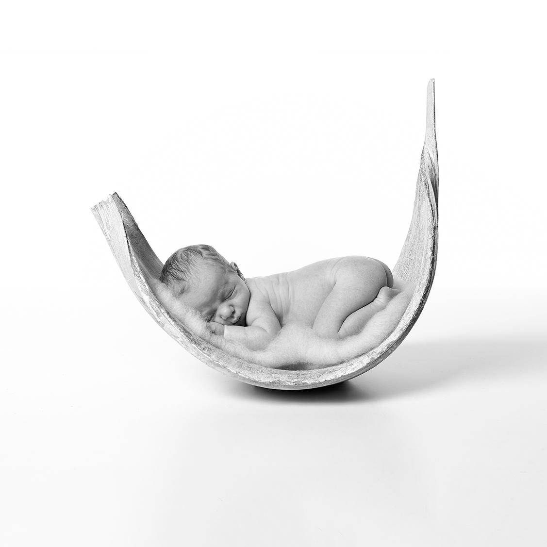 Foto-Studio Müller GmbH