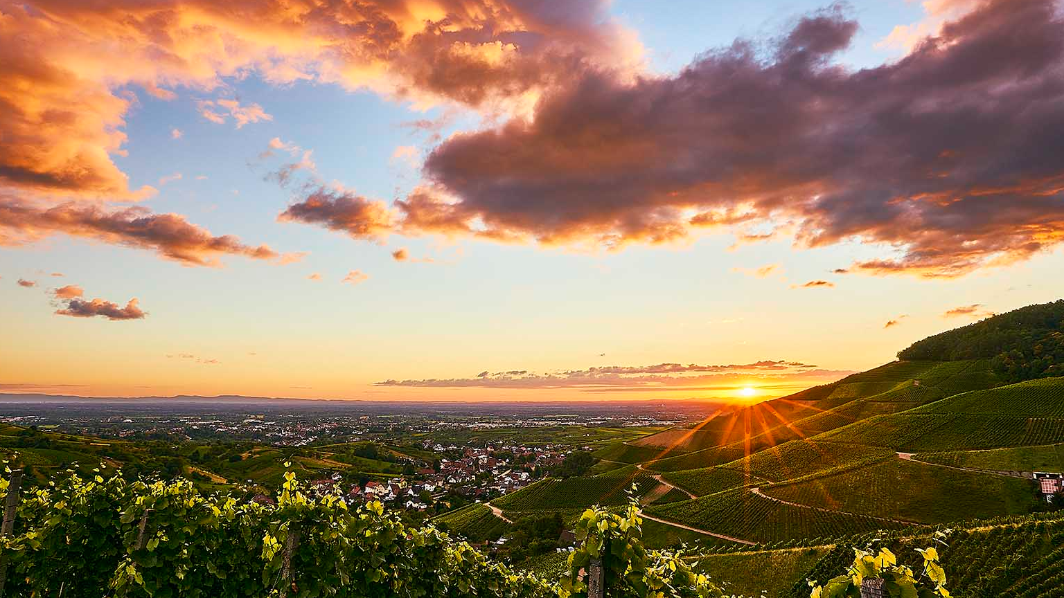Fotograf Jörg Bongartz | Moderne Porträts & Business Fotografie aus Bühl