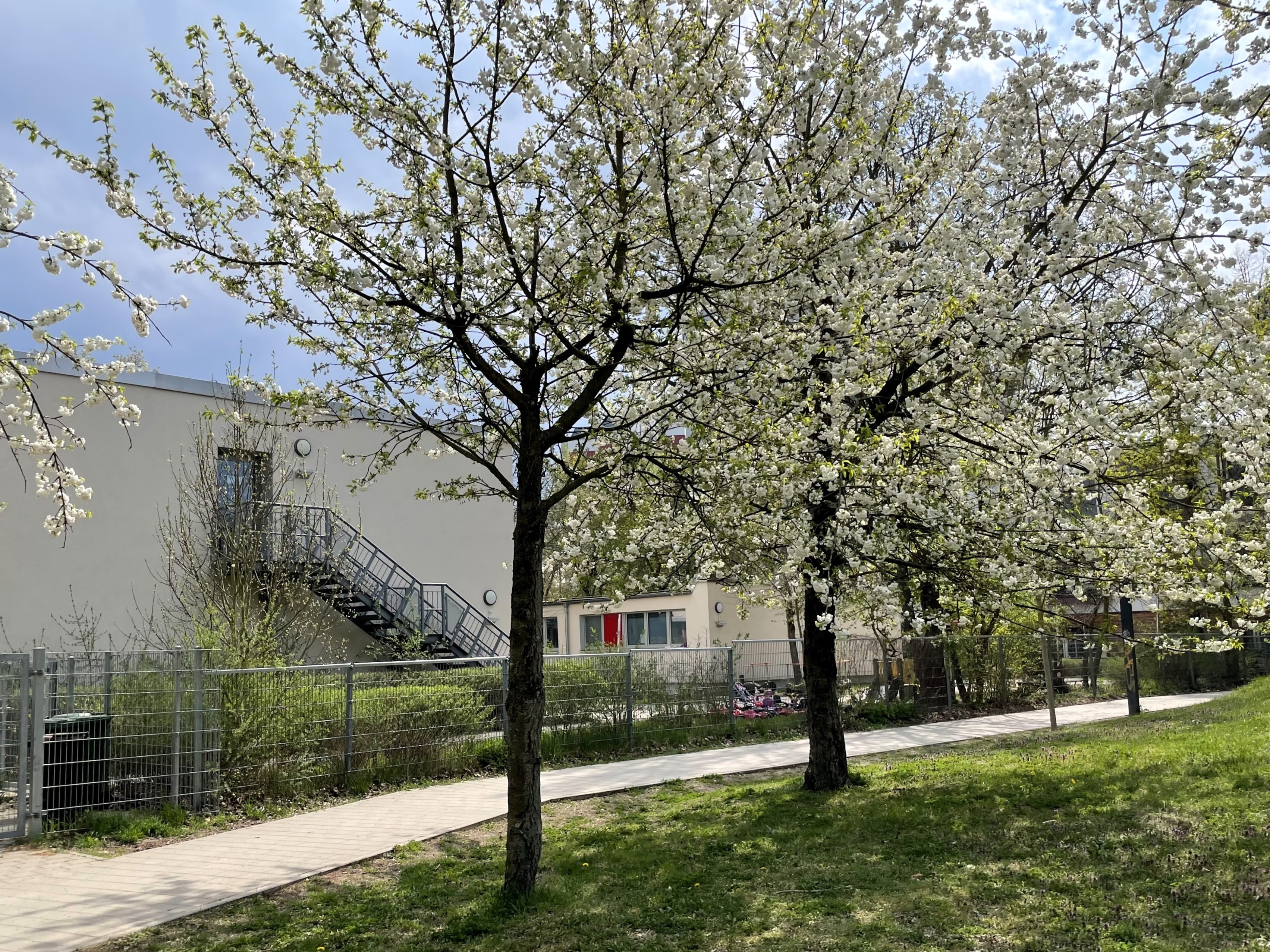 Fröbel-Kindergarten Sausewind