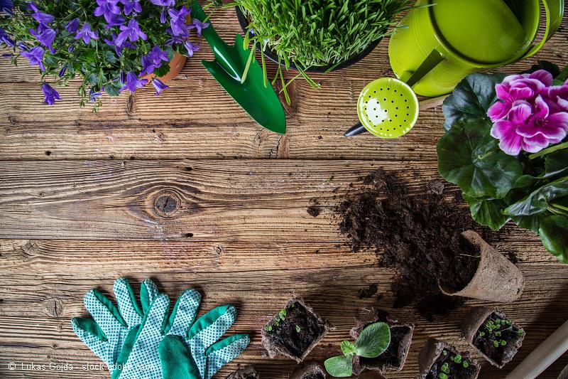 Gärtnerei Schlücker