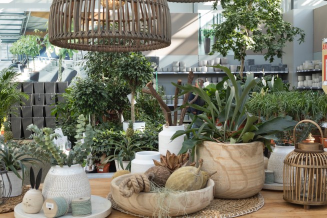 Garten-Center Kremer GmbH