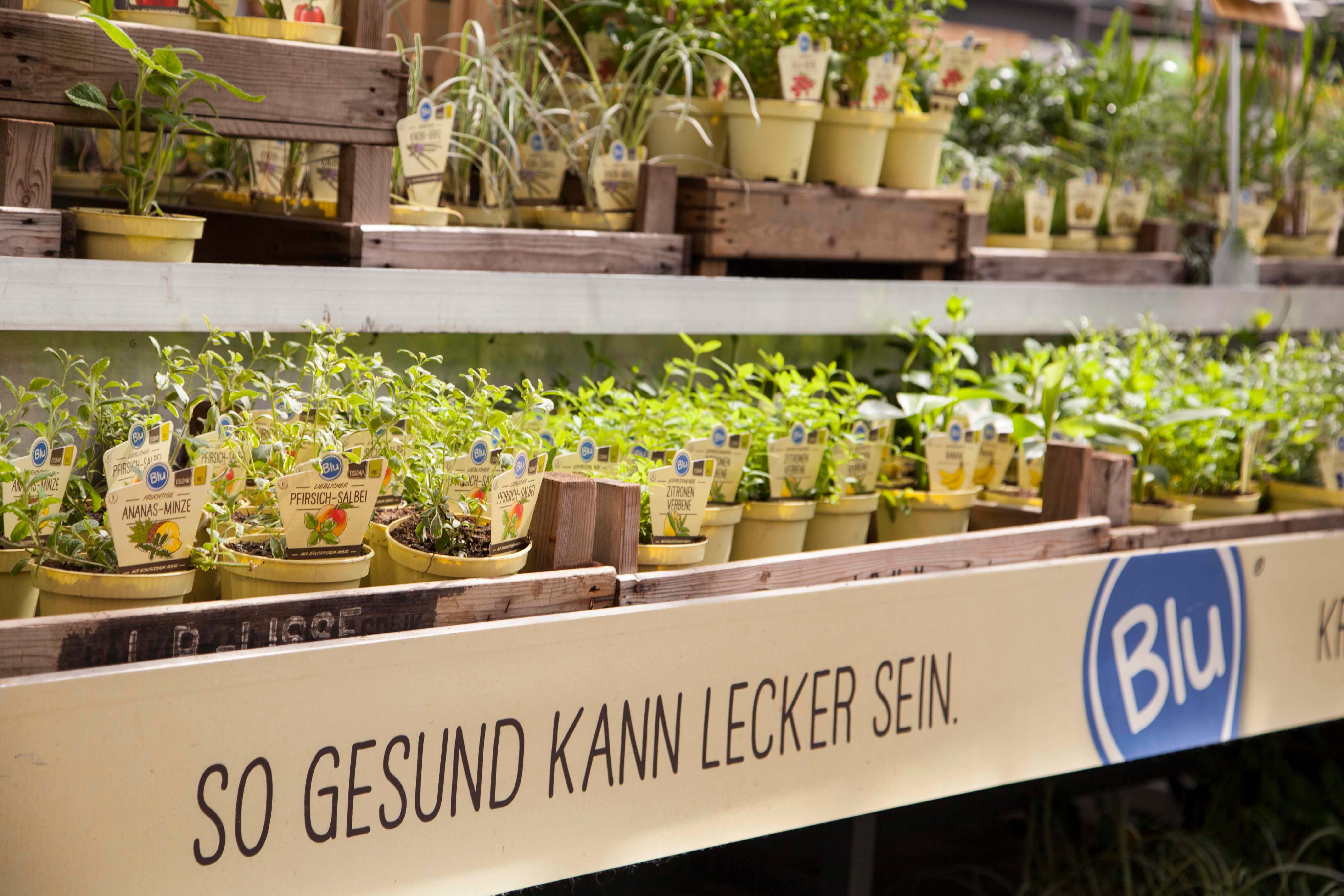 Garten-Center Kremer GmbH