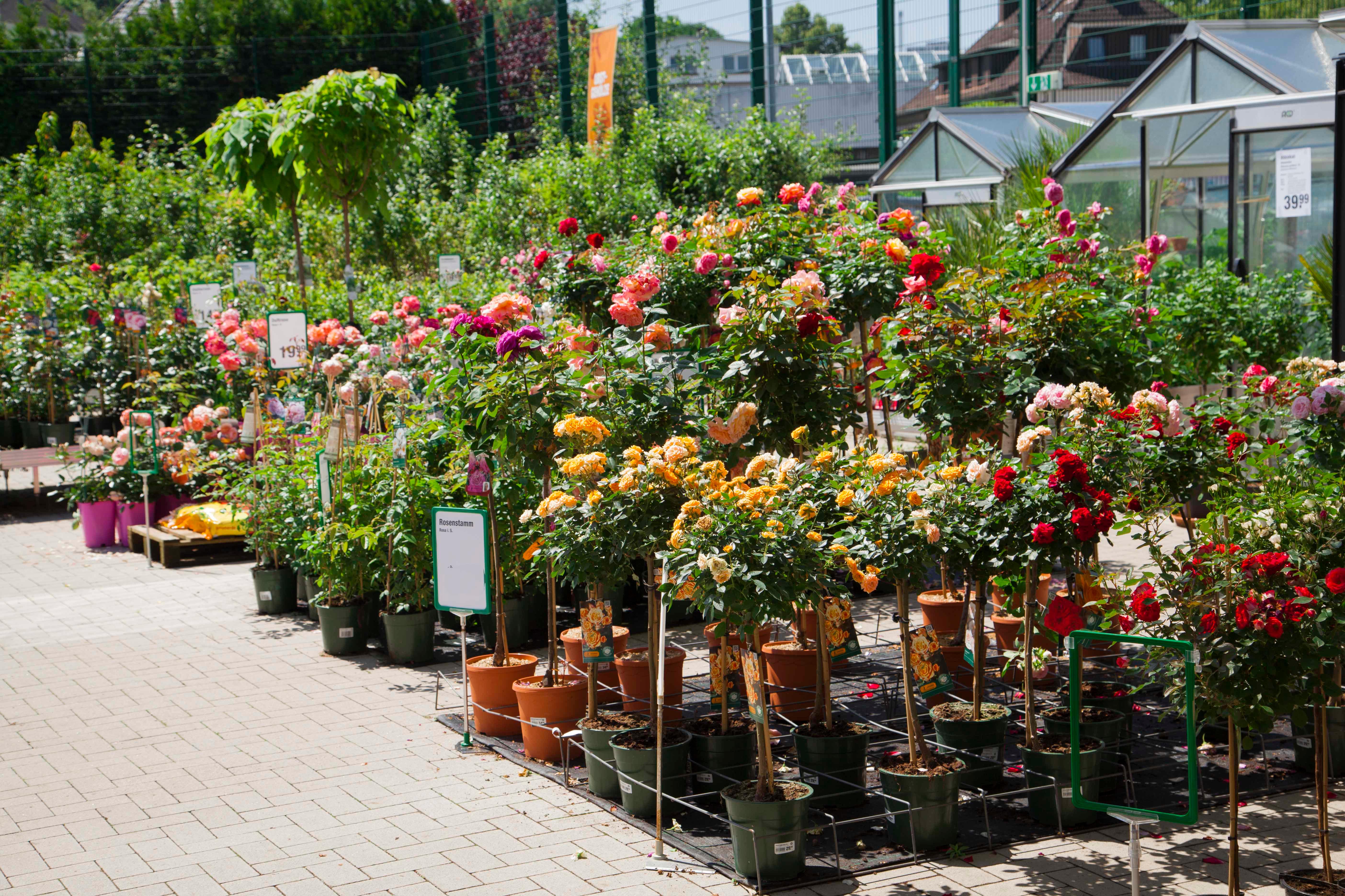 Garten-Center Kremer GmbH