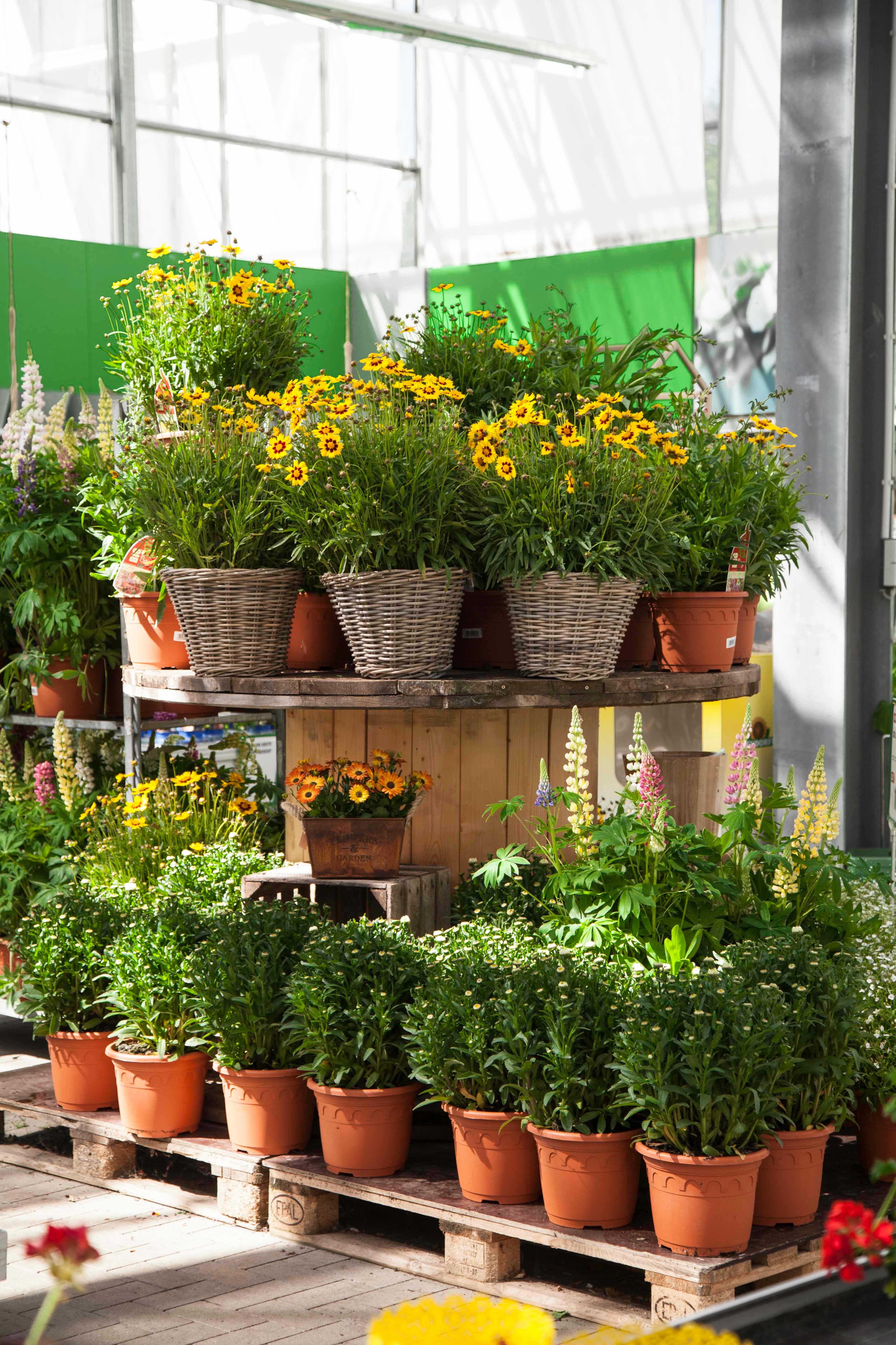 Garten-Center Kremer GmbH