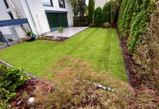 Garten Kreationen – Dani Zeciri