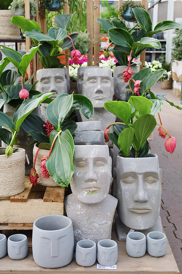 Gartencenter Spiering Oberhausen