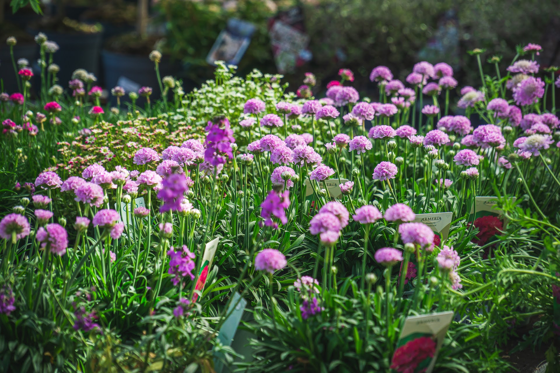 Gartencenter Spiering Oberhausen