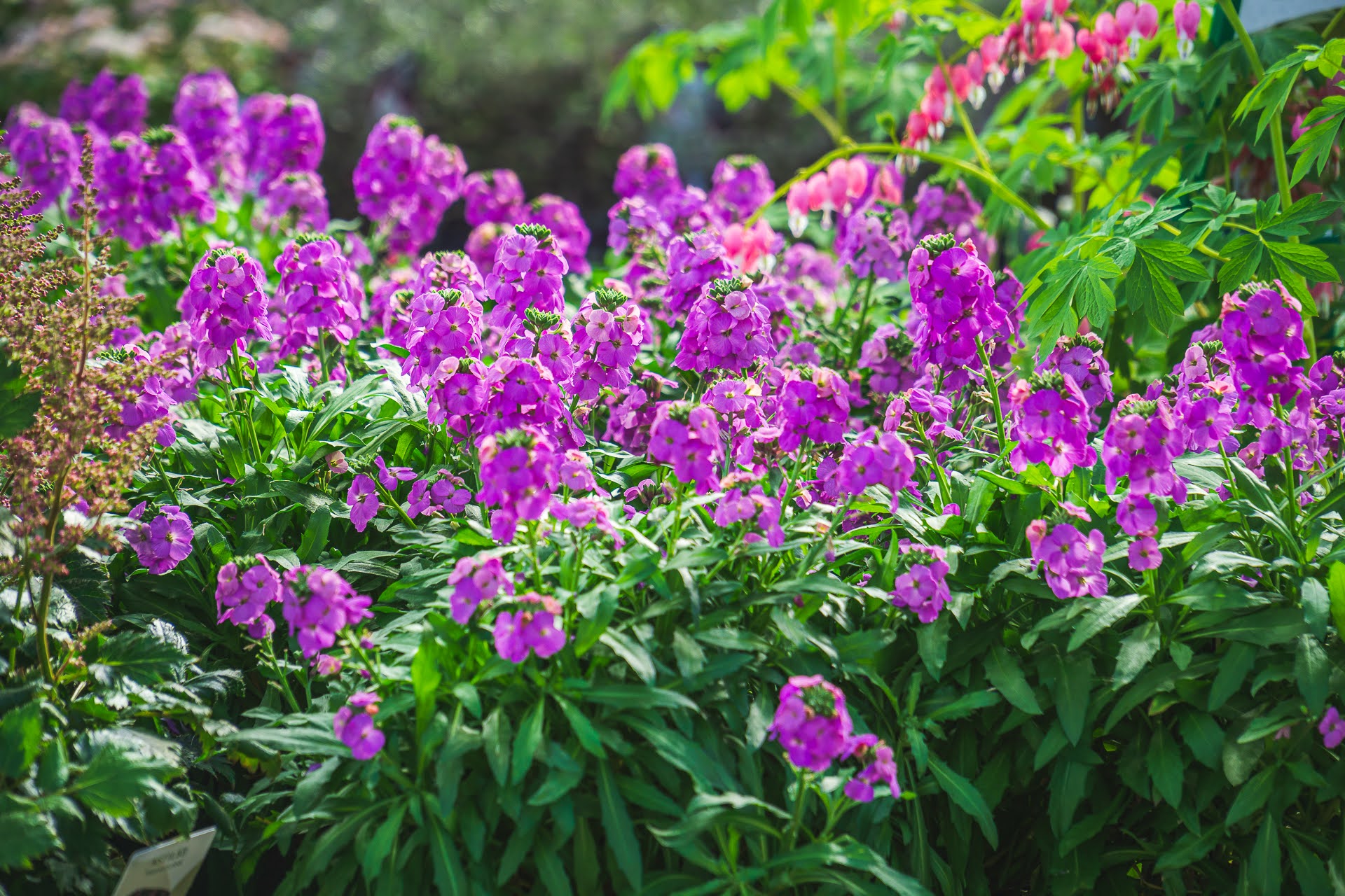 Gartencenter Spiering Oberhausen