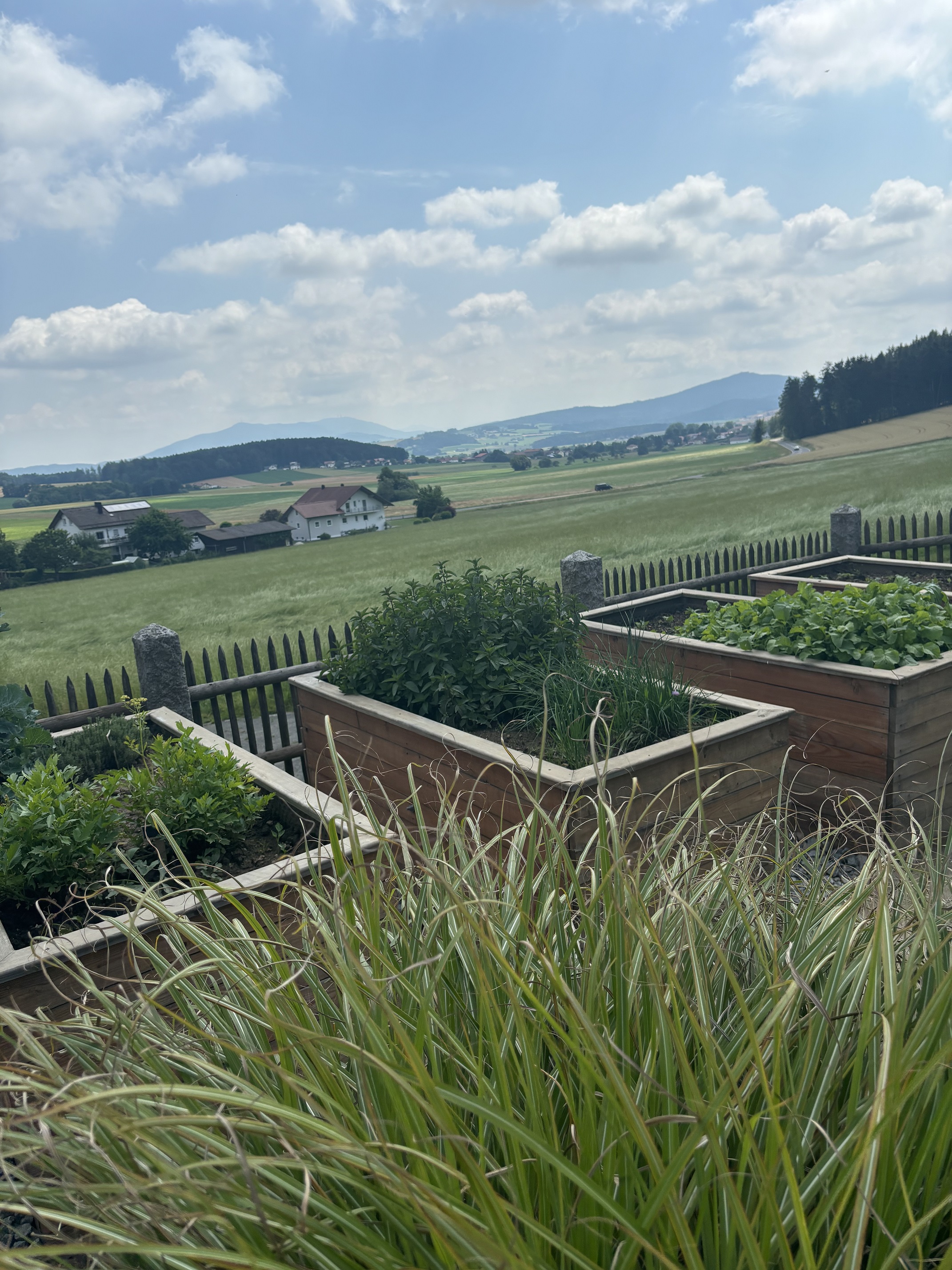 Gasthaus Bucher Schlammering