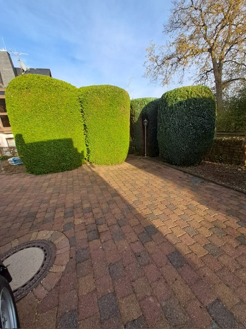 GGL Dienstleistungs GmbH Gebäude, Garten- und Landschaftsservice