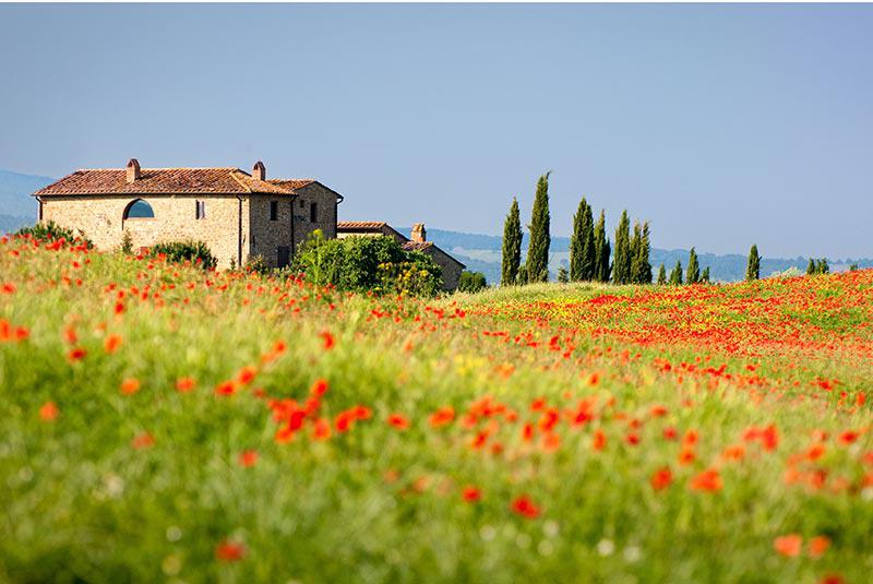 Glas-Spiegel-Rahmen GmbH