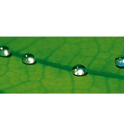 Gleichauf GmbH Maler- und Stukkateurbetrieb