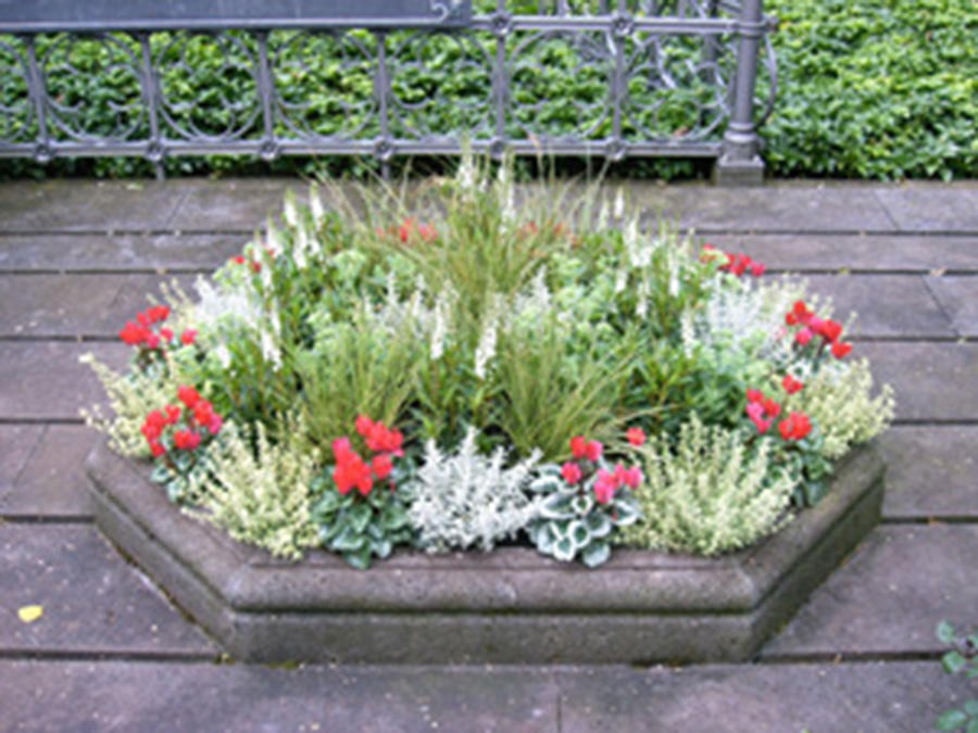 Grabpflege Küsters-Schlangen GmbH