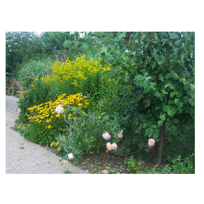 Hafner Alexander Garten- und Landschaftsbau