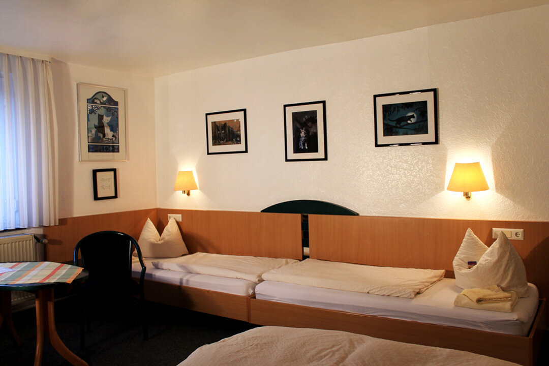Hotel - Landgasthof Grüner Baum Dittigheim
