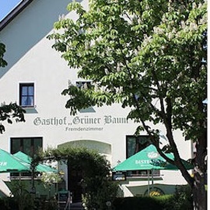 Hotel - Landgasthof Grüner Baum Dittigheim