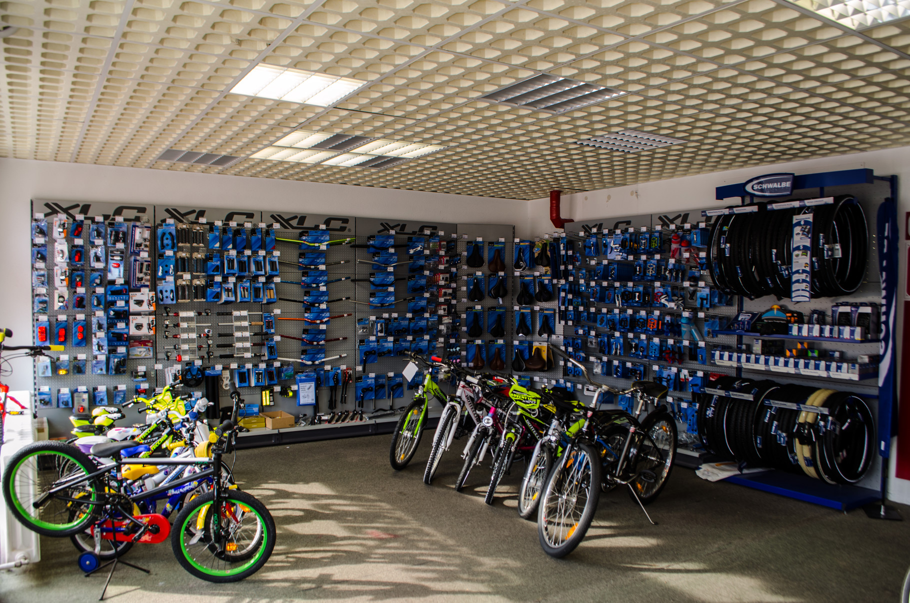 INMOVE - Sport & Rad