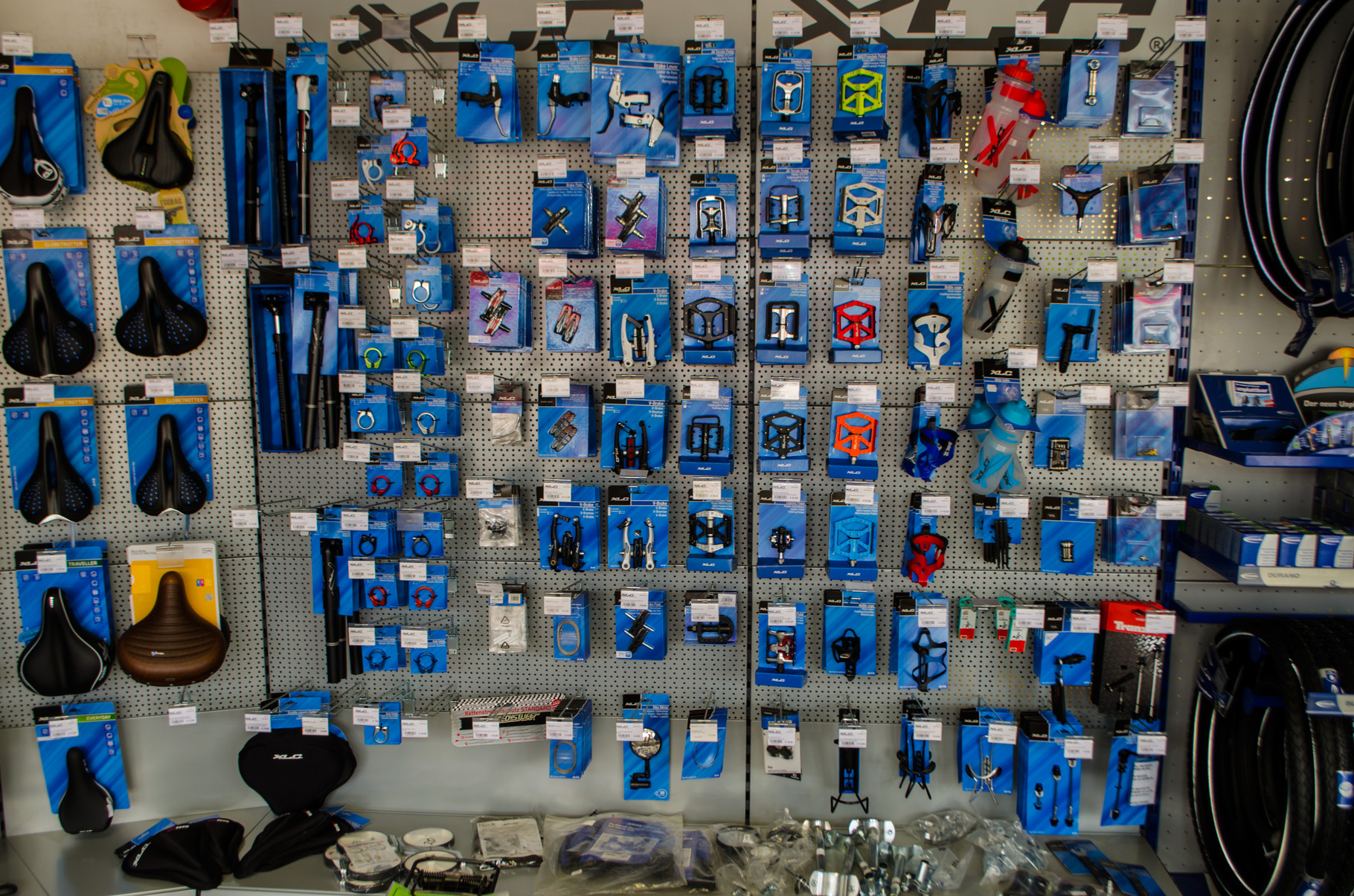 INMOVE - Sport & Rad