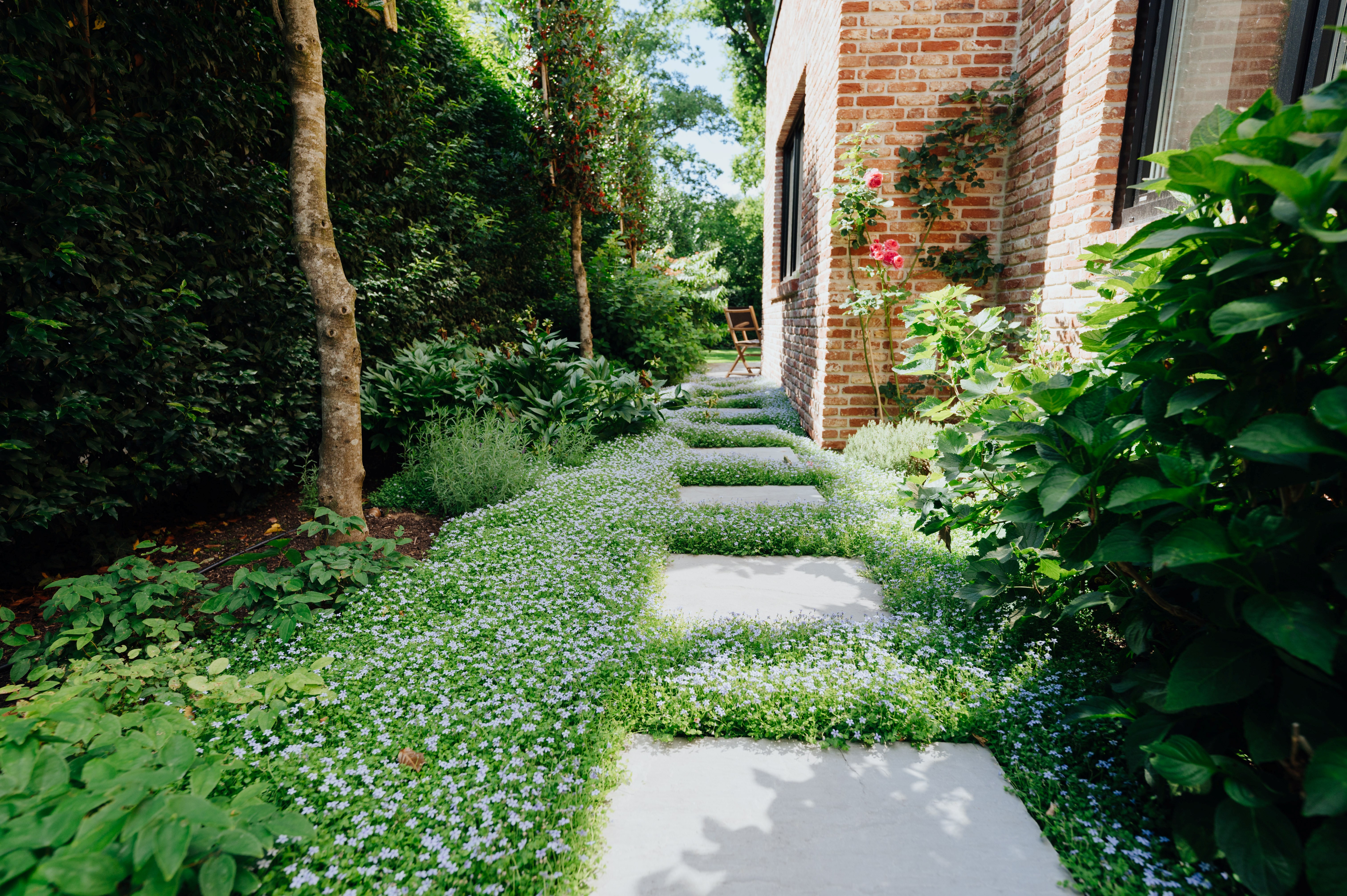 Innengrün Jørg Weber GmbH