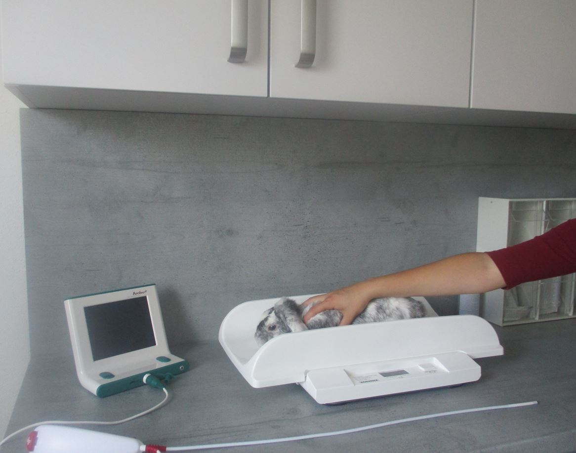 Johannes Sieber Prakt. Tierarzt