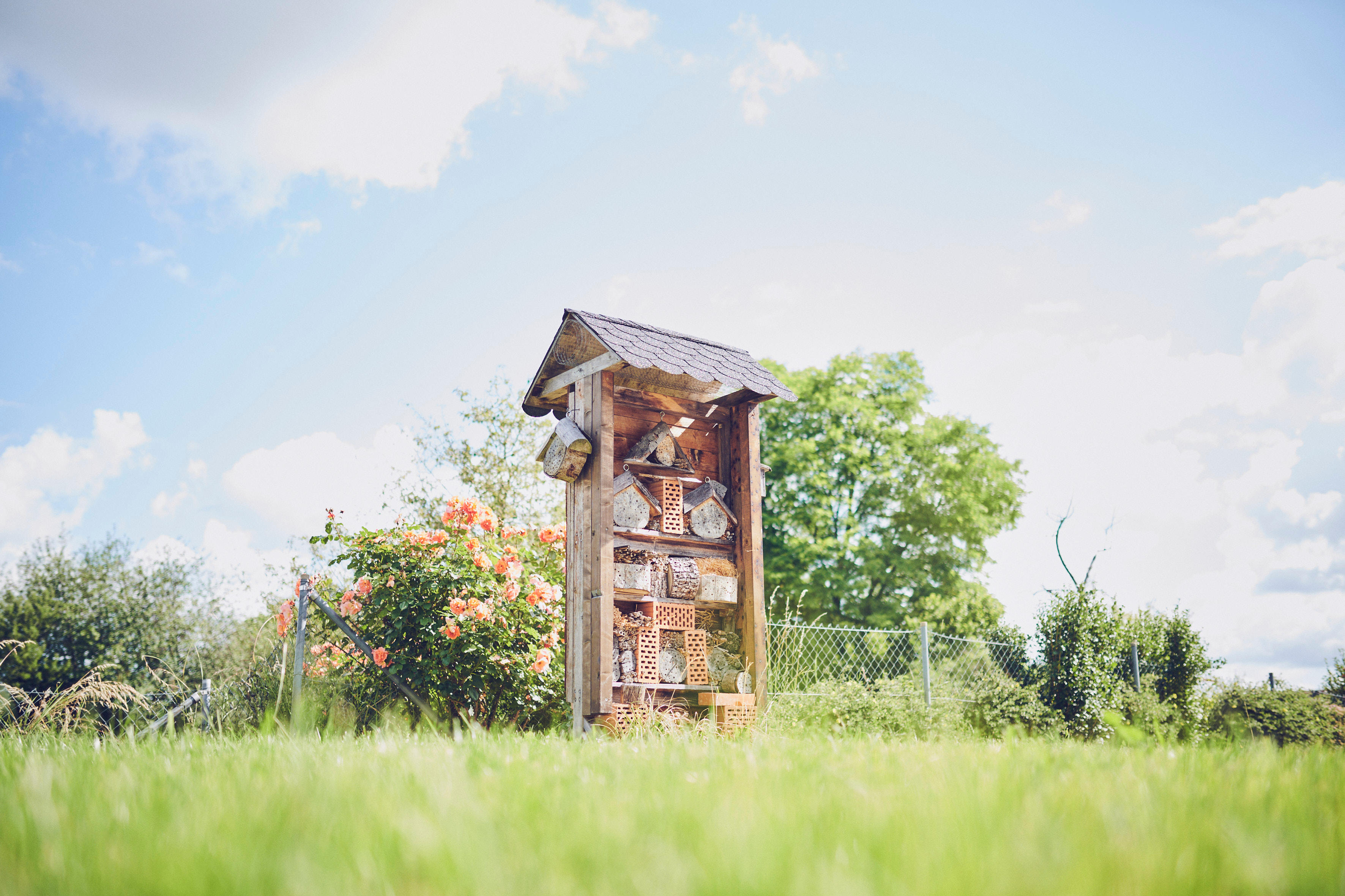 Johanniter-Pflegewohnhaus im Pfarrgarten, Mögglingen
