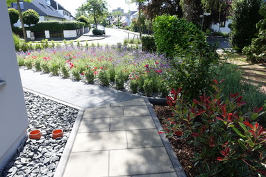 Kissener's Gartenmarkt