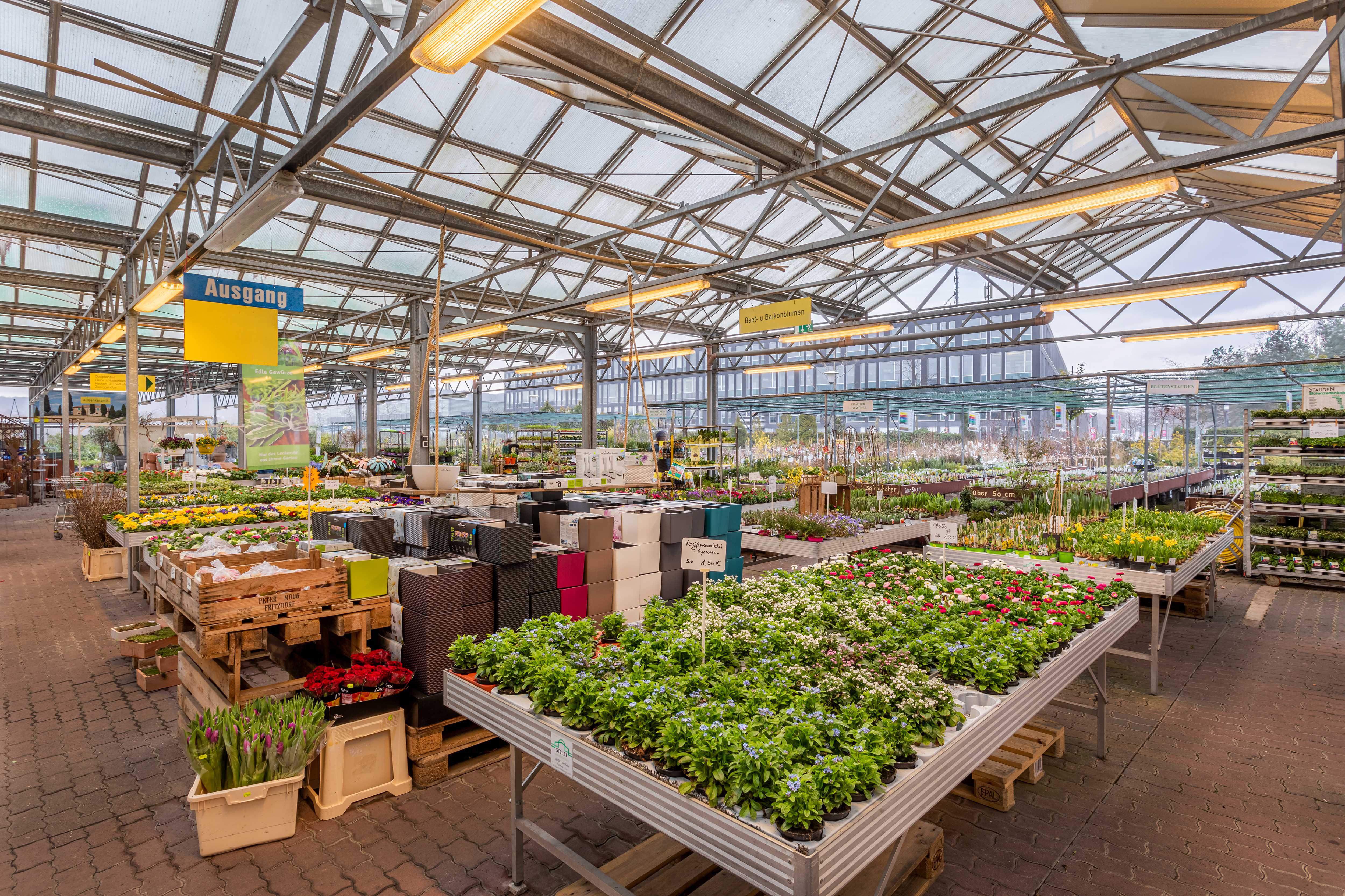 Kissener's Gartenmarkt