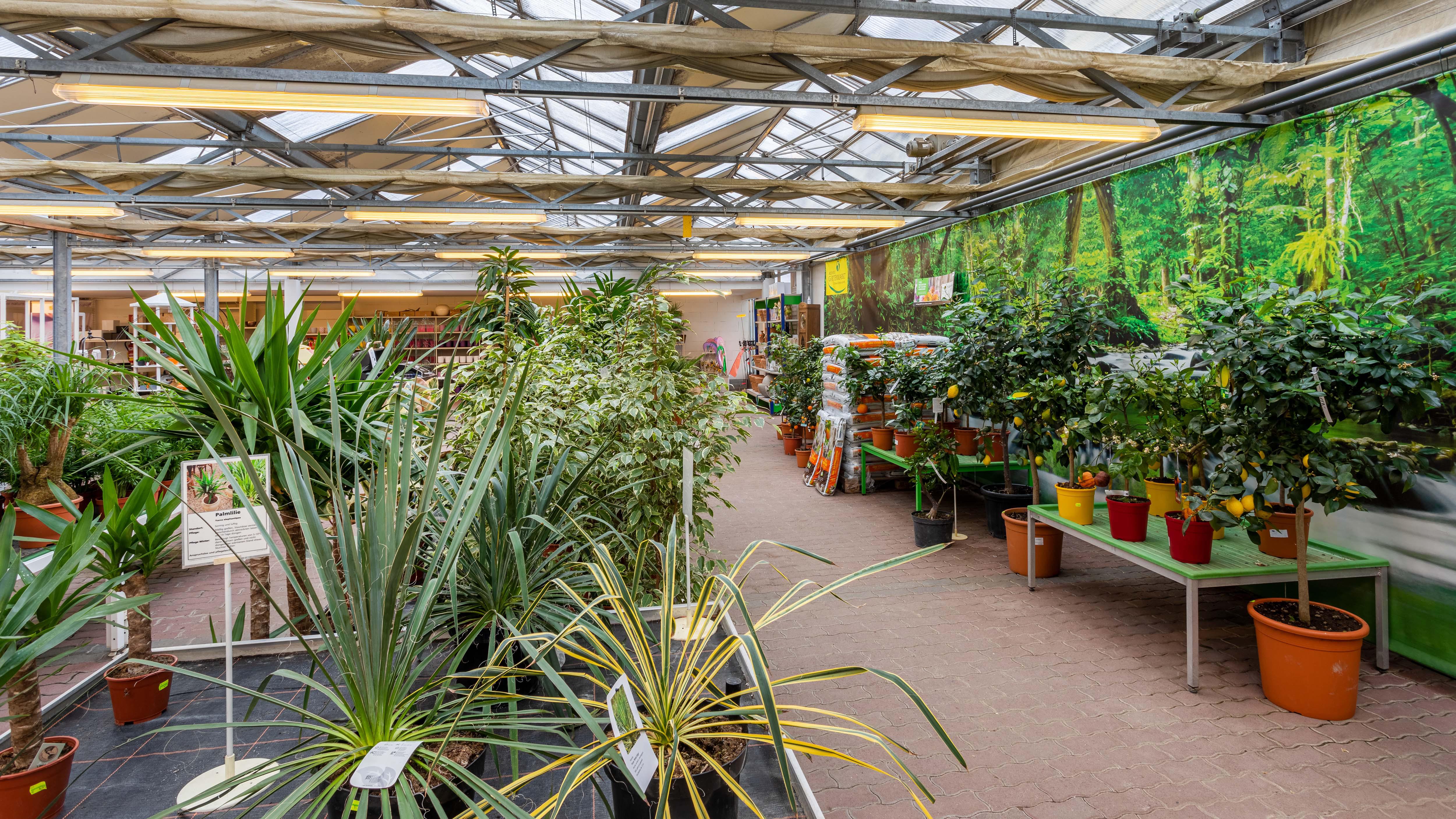 Kissener's Gartenmarkt