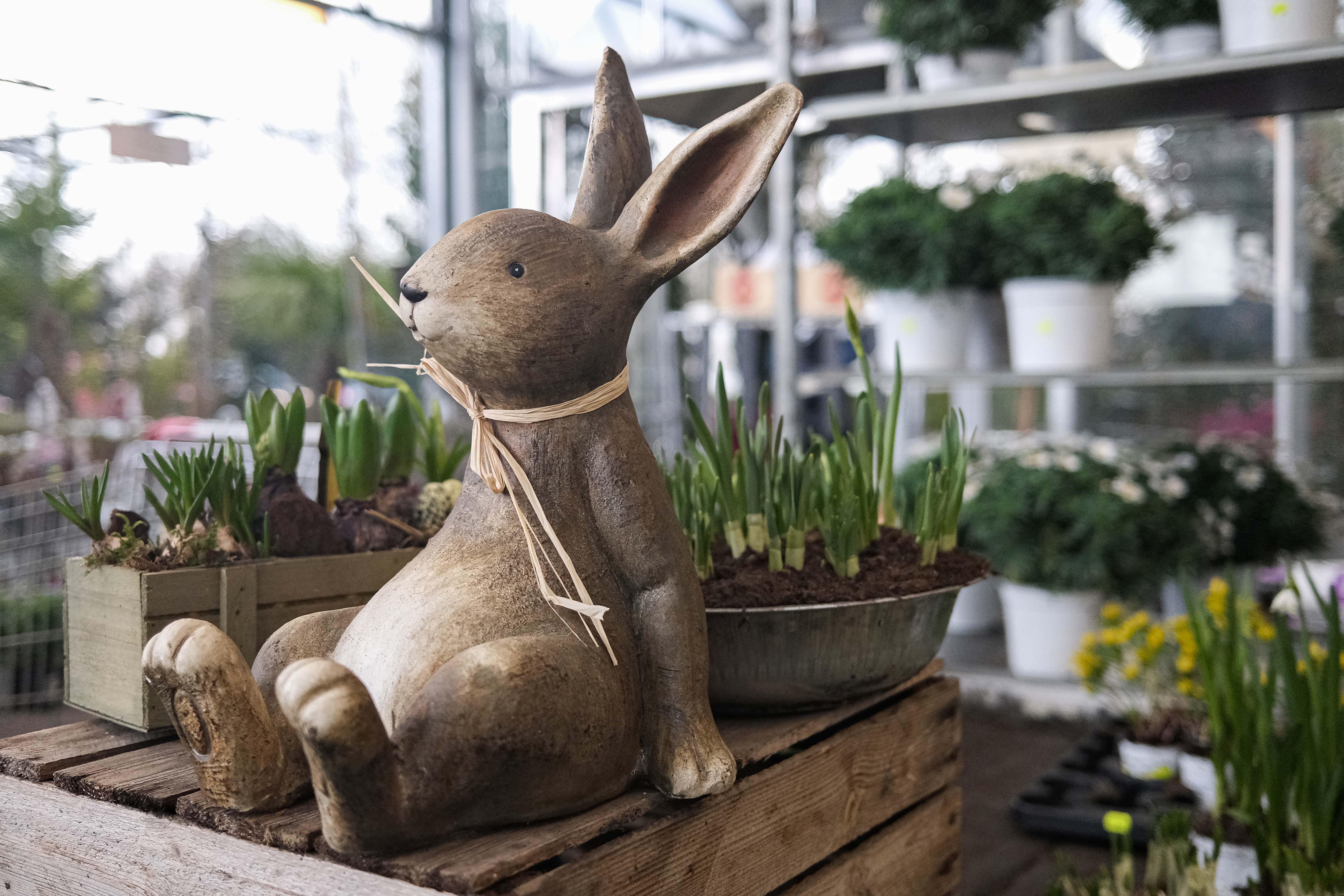 Kissener's Gartenmarkt