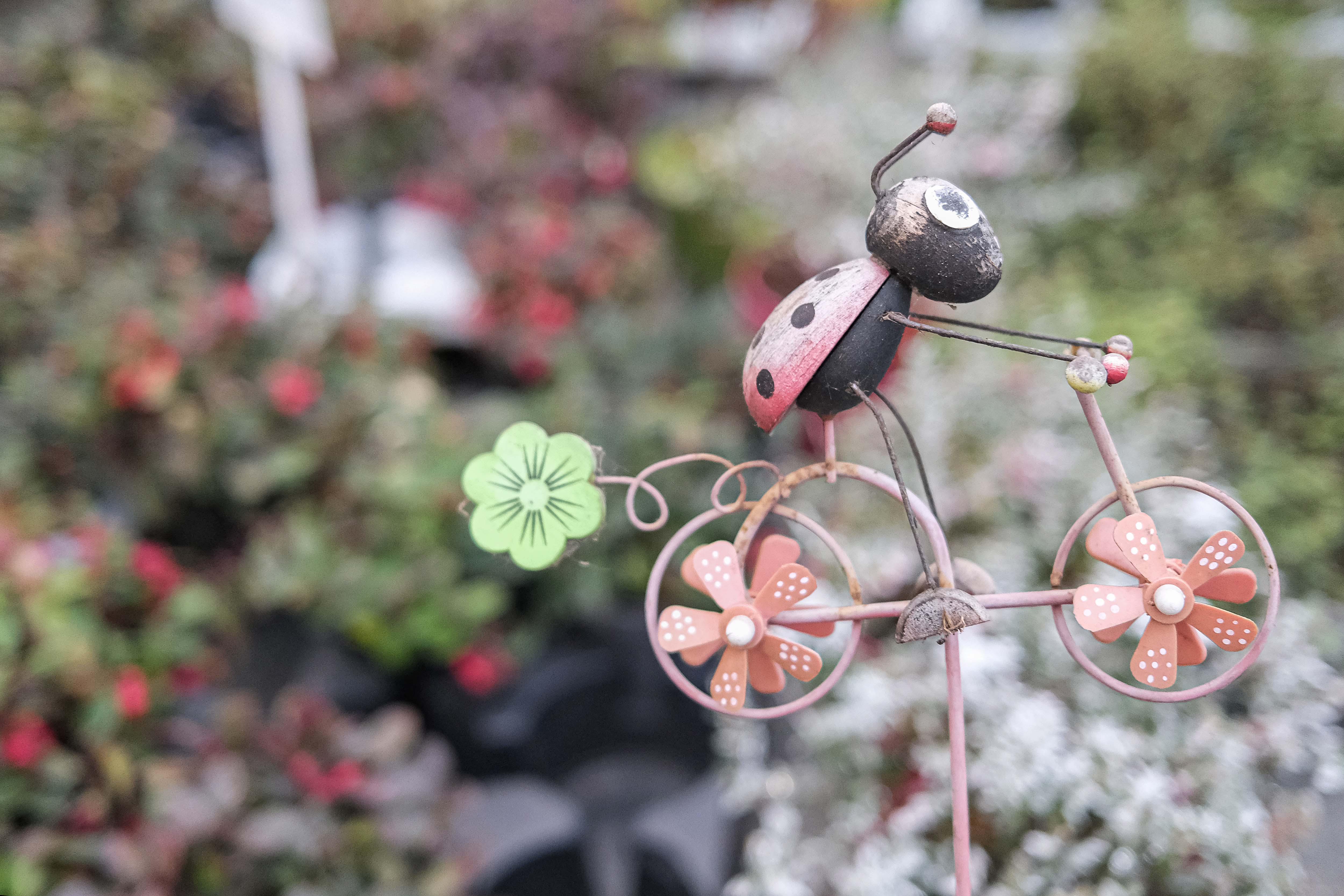 Kissener's Gartenmarkt