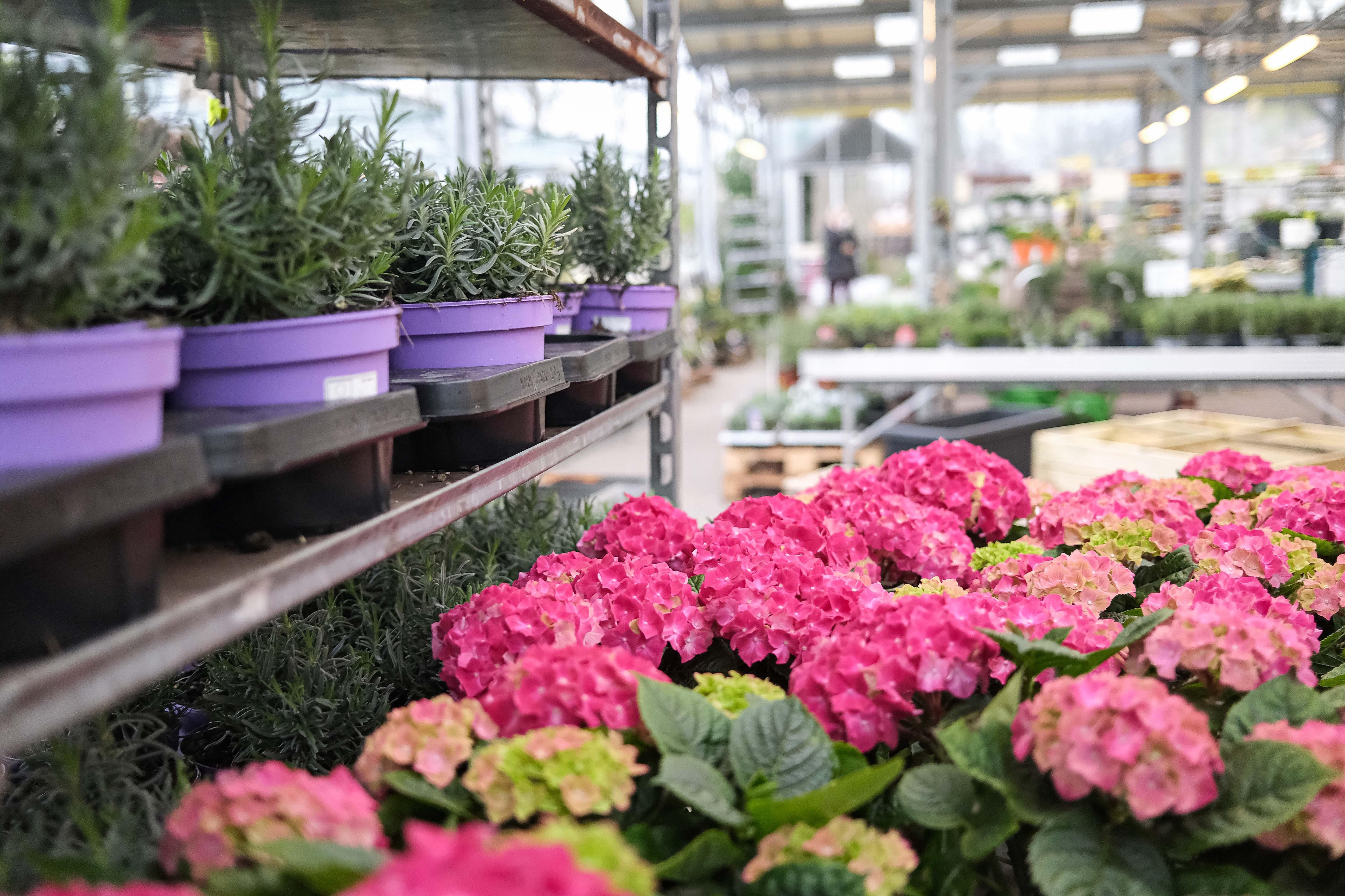 Kissener's Gartenmarkt