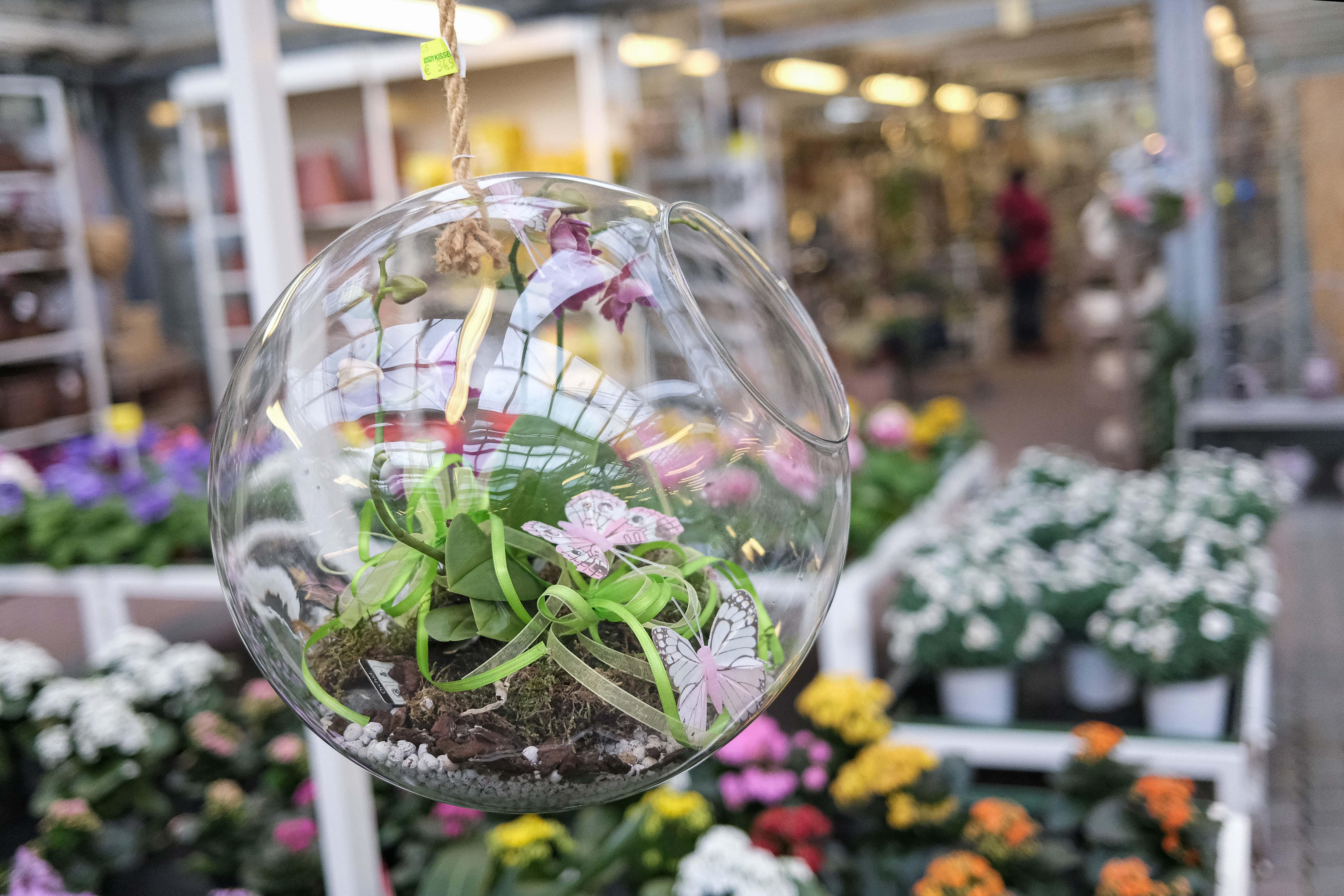 Kissener's Gartenmarkt