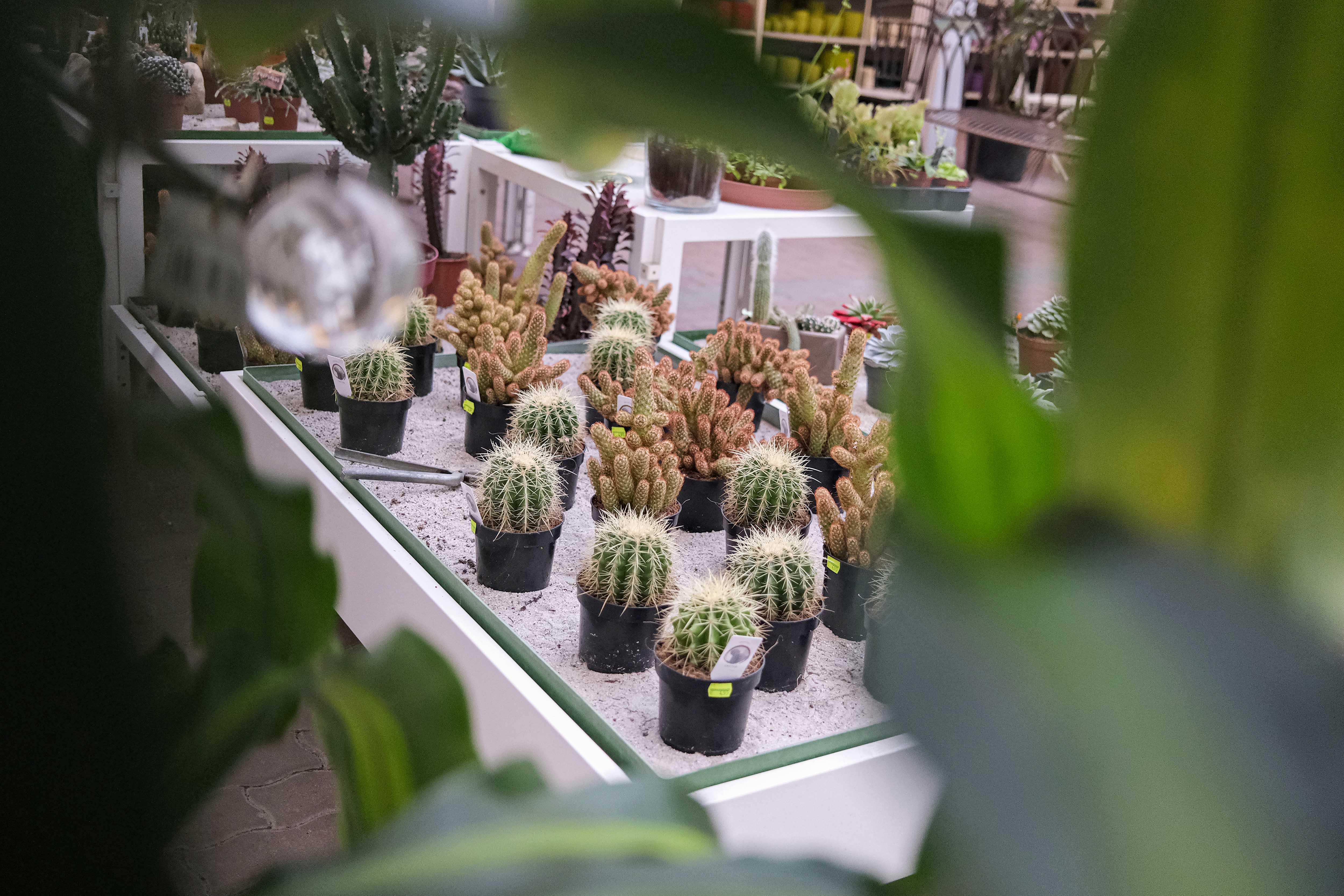 Kissener's Gartenmarkt