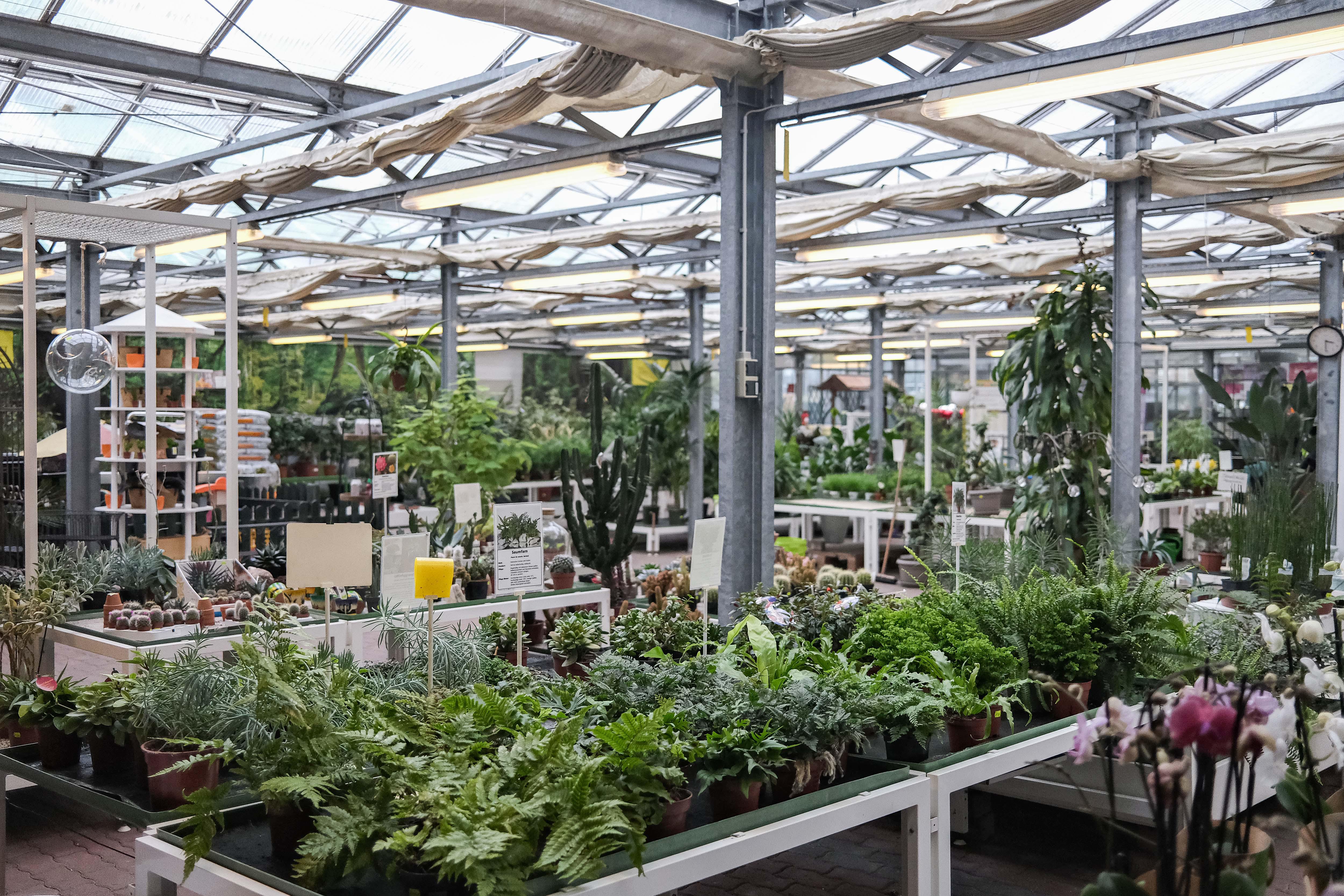 Kissener's Gartenmarkt