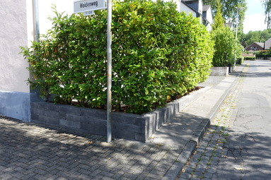 Kissener's Gartenmarkt