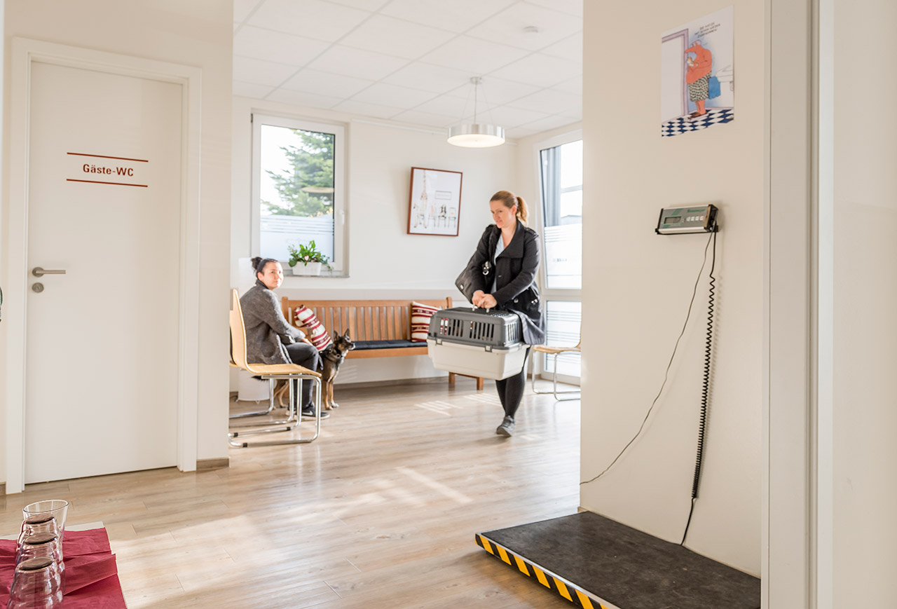 Kleintierpraxis Dr. med. vet. Barbara Rabeling