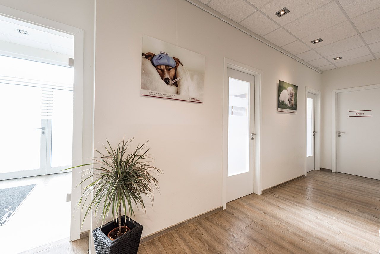 Kleintierpraxis Dr. med. vet. Barbara Rabeling