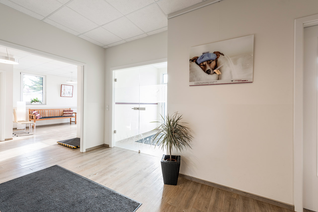 Kleintierpraxis Dr. med. vet. Barbara Rabeling