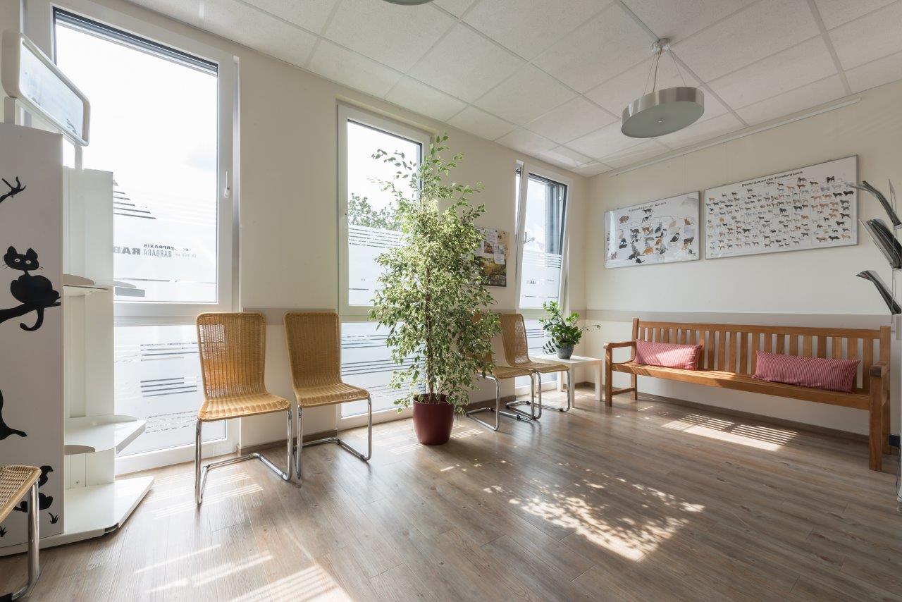 Kleintierpraxis Dr. med. vet. Barbara Rabeling