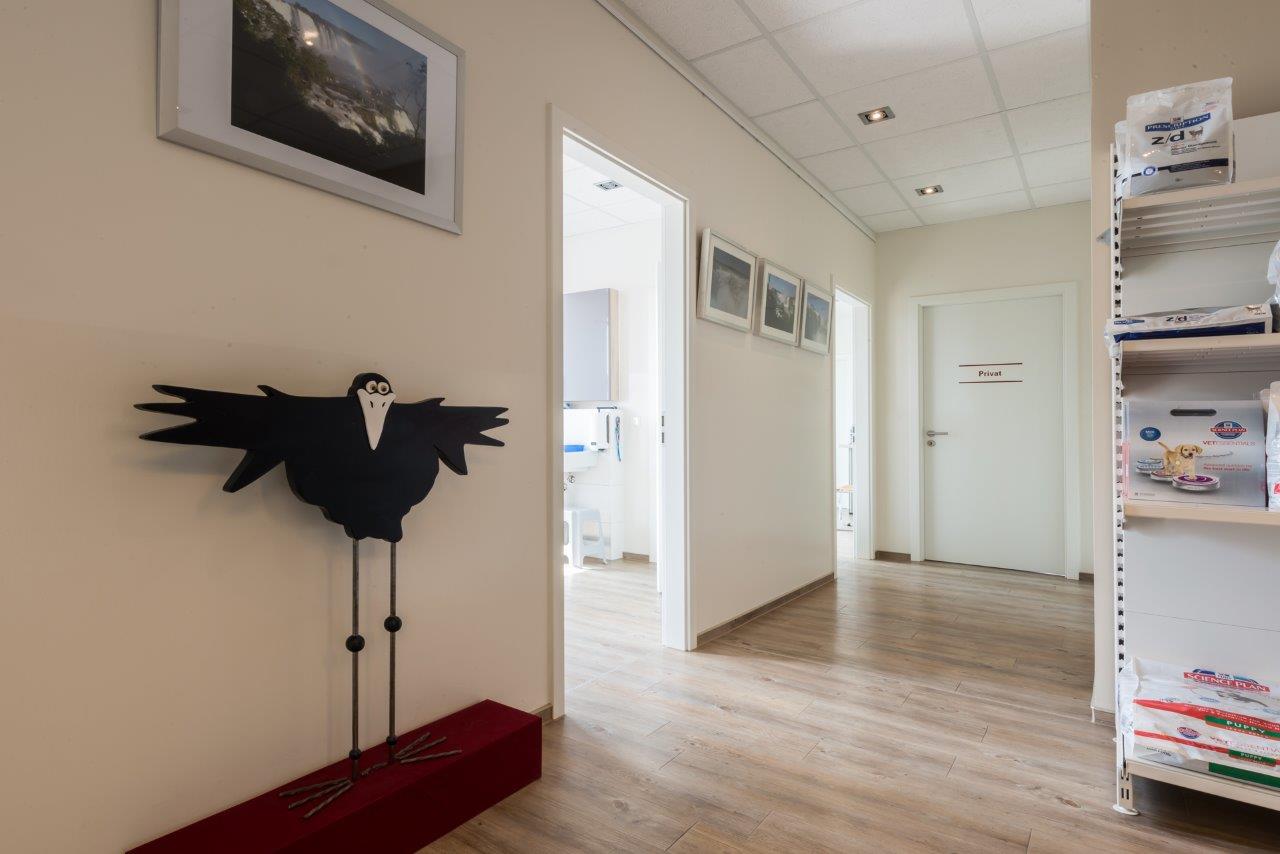 Kleintierpraxis Dr. med. vet. Barbara Rabeling