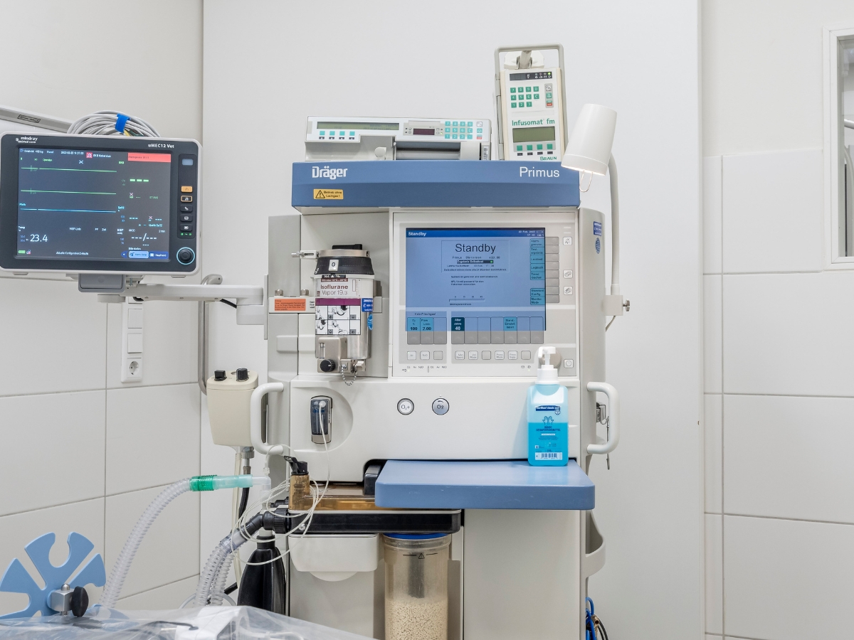 Kleintierpraxis Dr. med. vet. Barbara Rabeling